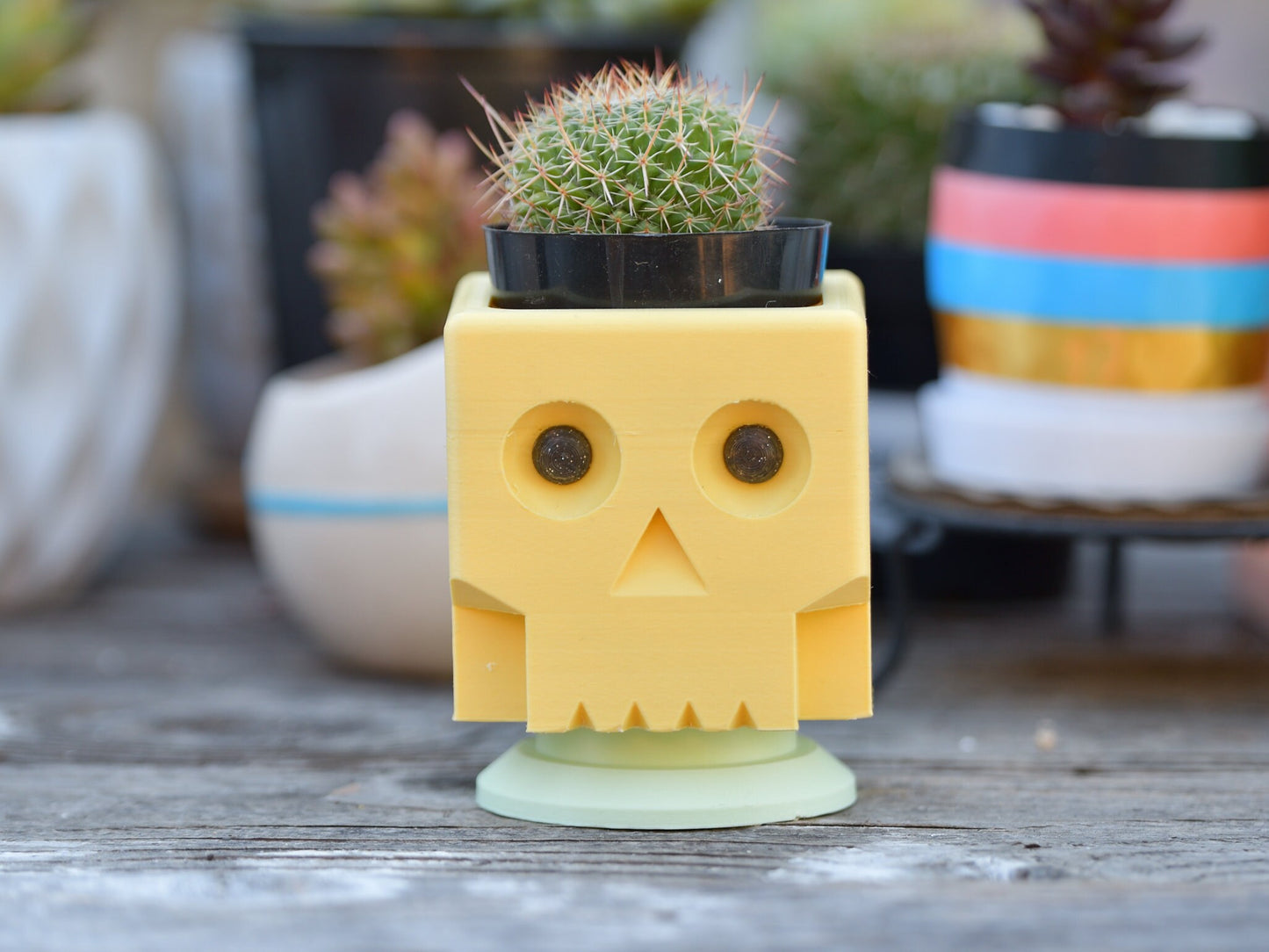 Zombie Square Style Skull Planter with Drainage - Succulent & Cactus Planter - Desktop Pen Holder