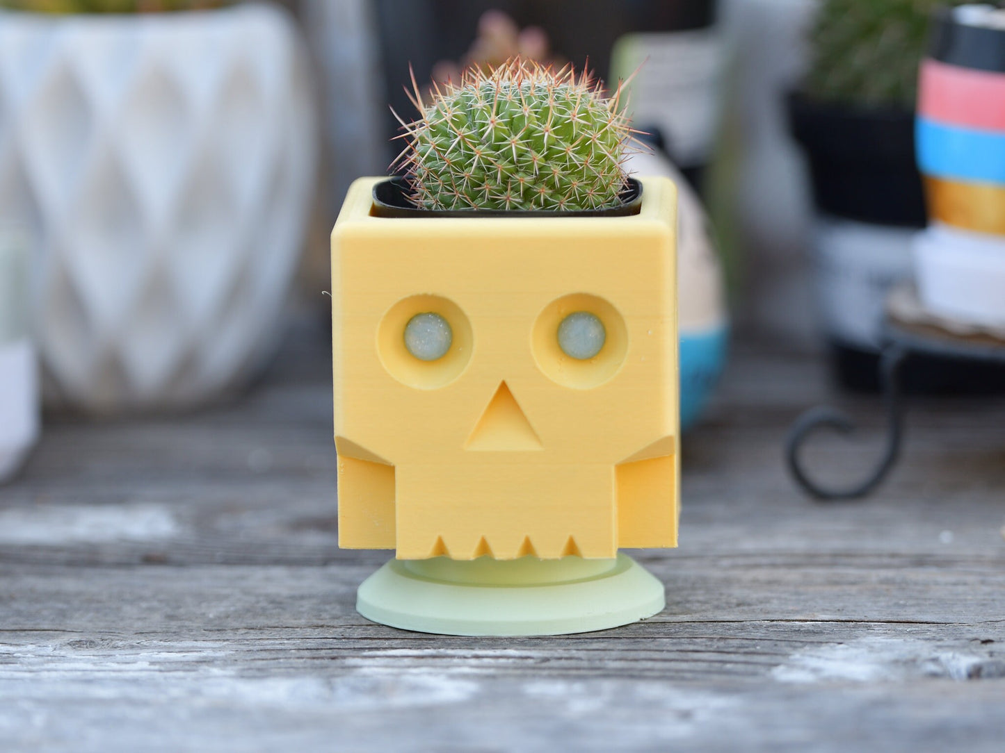 Zombie Square Style Skull Planter with Drainage - Succulent & Cactus Planter - Desktop Pen Holder