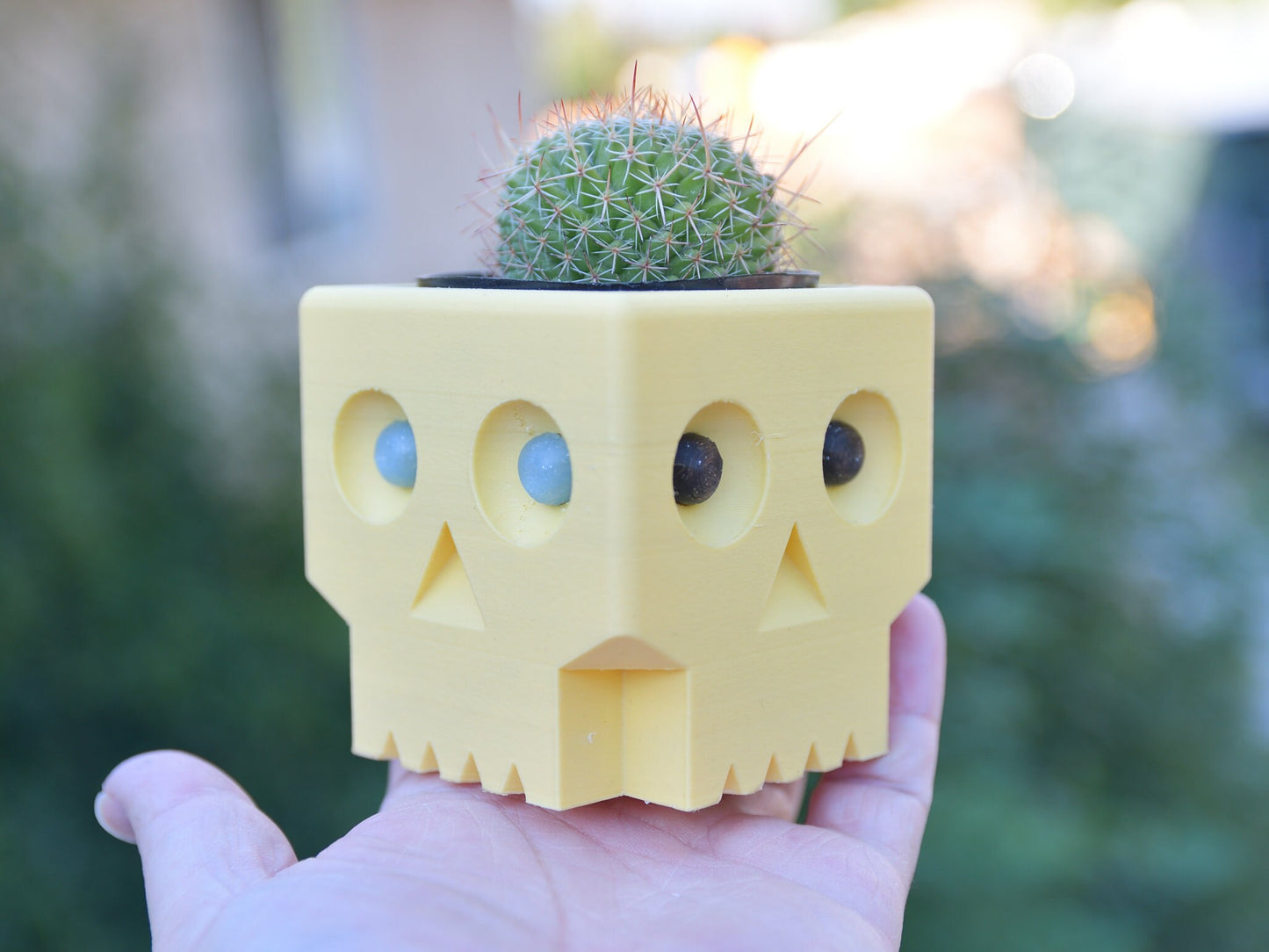 Zombie Square Style Skull Planter with Drainage - Succulent & Cactus Planter - Desktop Pen Holder