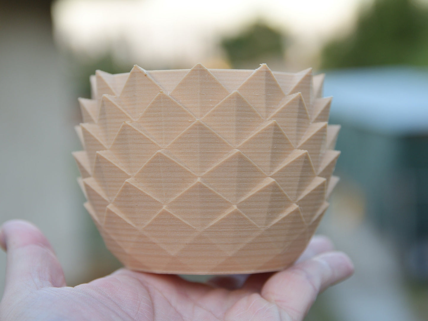 Pine Cone Pattern Planter Pot for Succluent or Baby Cactus