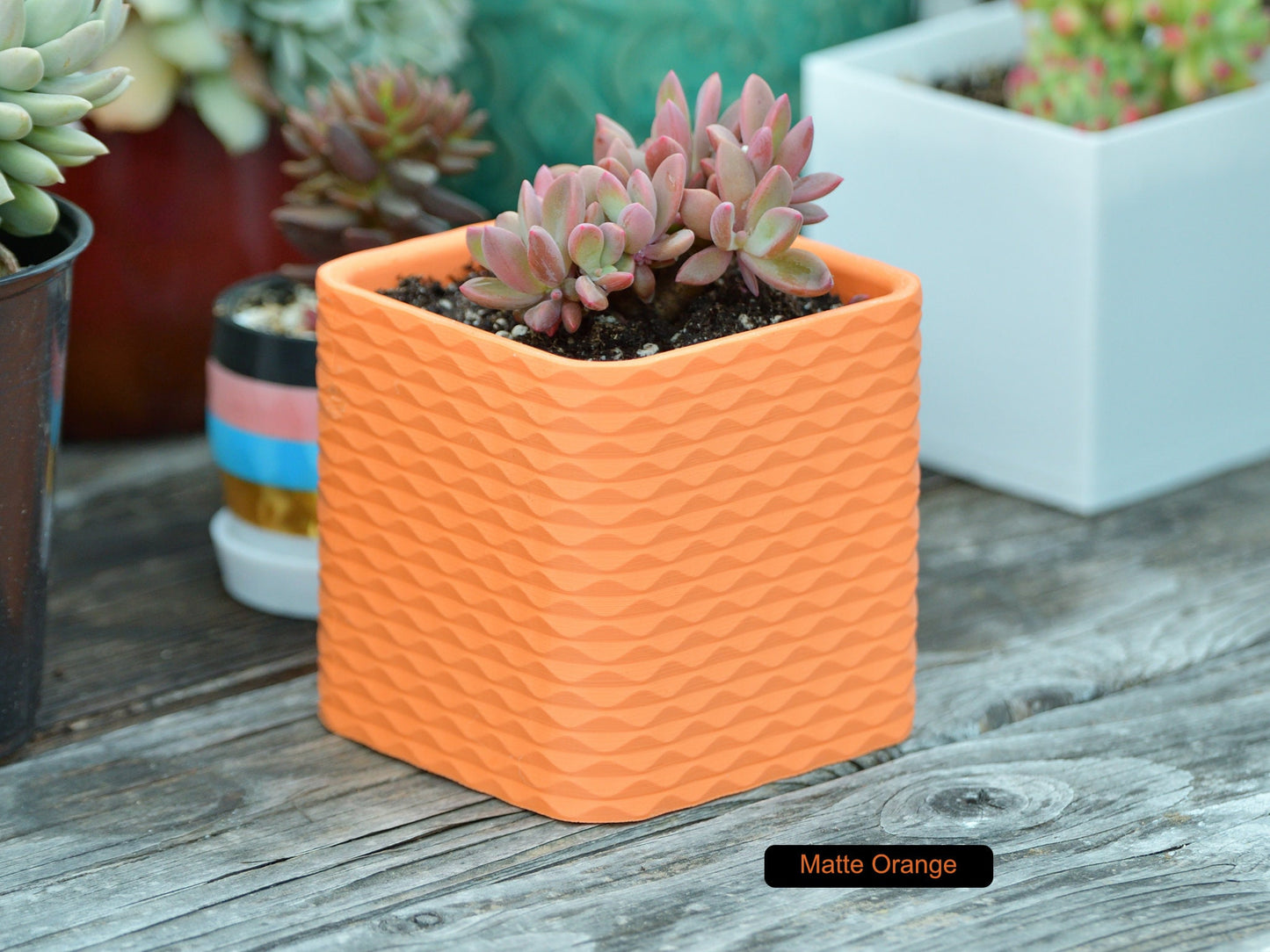 Square Sine Wave Pattern Planter Pot With Drainage - Single or Multiple Color Print - For Small Cactus or Succulent