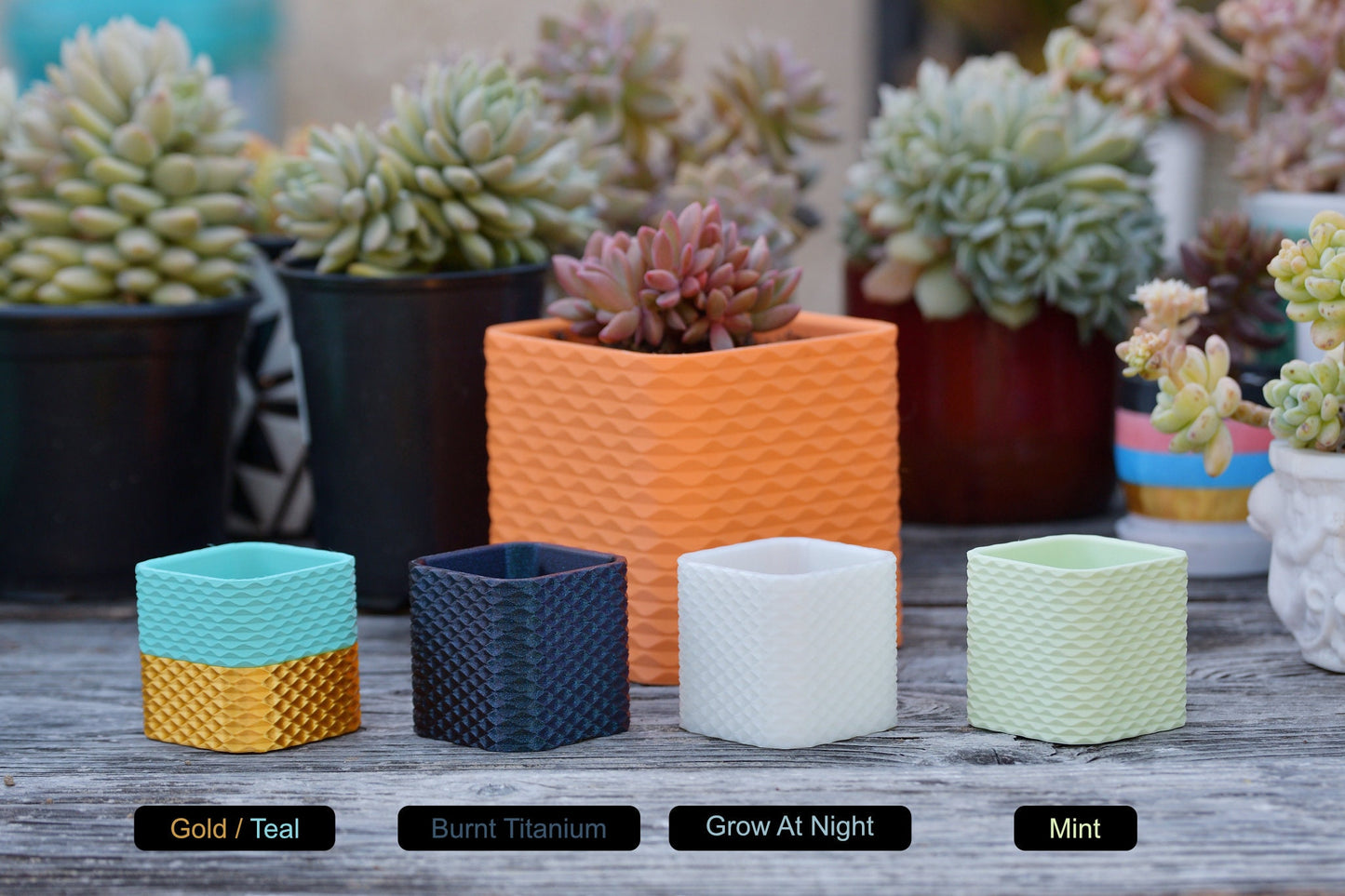 Square Sine Wave Pattern Planter Pot With Drainage - Single or Multiple Color Print - For Small Cactus or Succulent