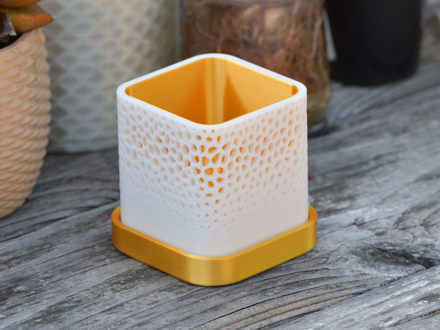 Dual-Layer Voronoi 3D Printed Planter with Drainage. For Small Cactus or Succulent